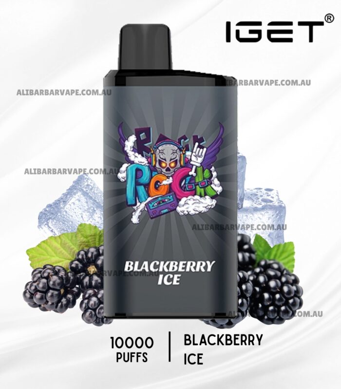 IGET Bar Pro 10000 Puffs Blackberry Ice