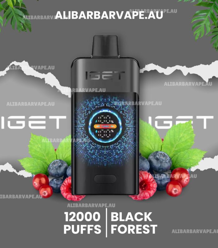 IGET One 12000 Puffs Black Forest