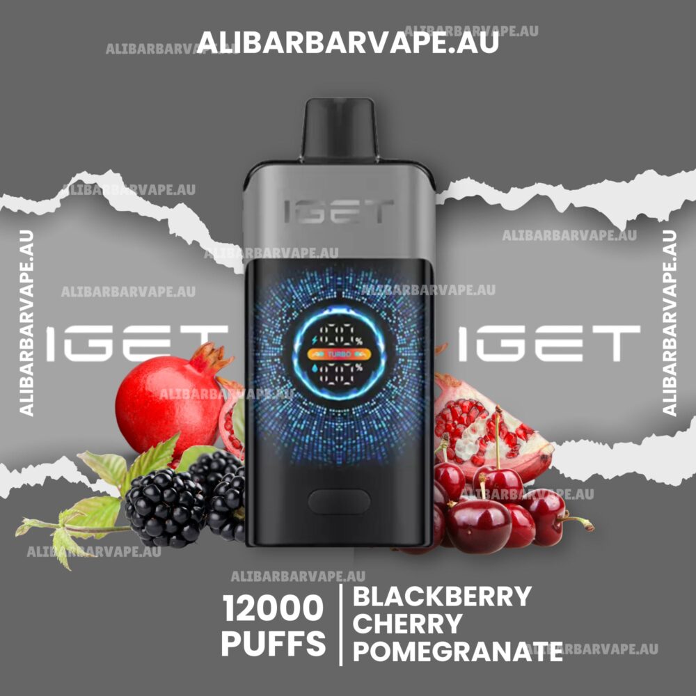 IGET One 12000 Puffs Blackberry Cherry Pomegranate