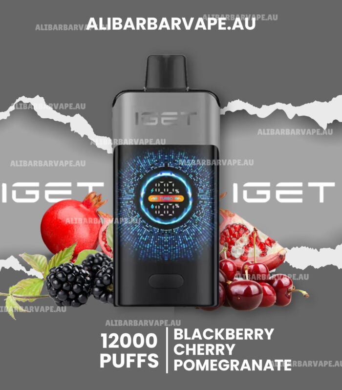 IGET One 12000 Puffs Blackberry Cherry Pomegranate