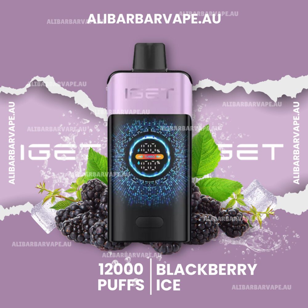 IGET One 12000 Puffs Blackberry Ice