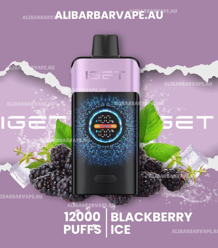 IGET One 12000 Puffs Blackberry Ice