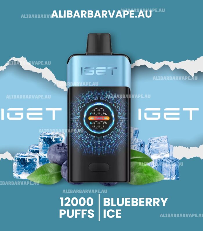 IGET One 12000 Puffs Blueberry Ice
