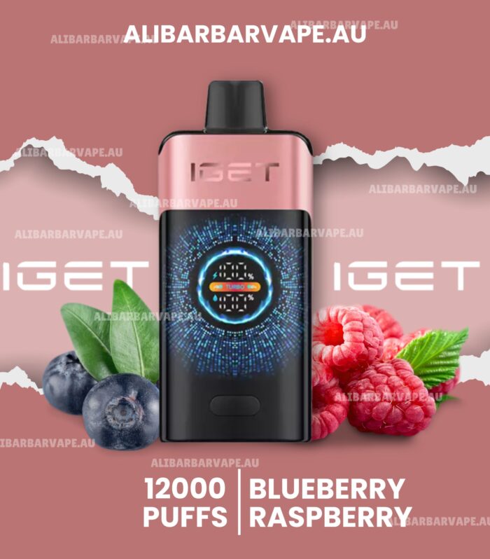 IGET One 12000 Puffs Blueberry Raspberry