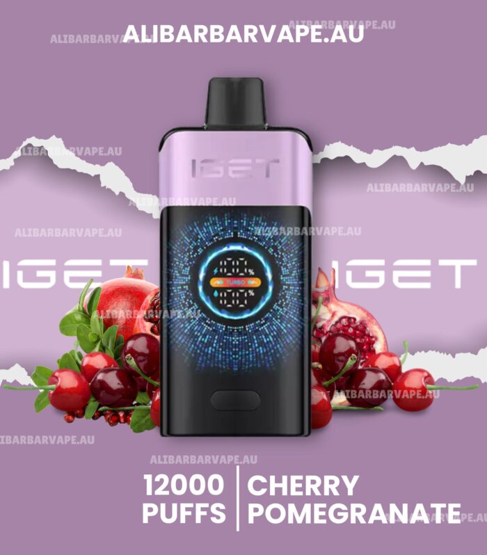 IGET One 12000 Puffs Cherry Pomegranate