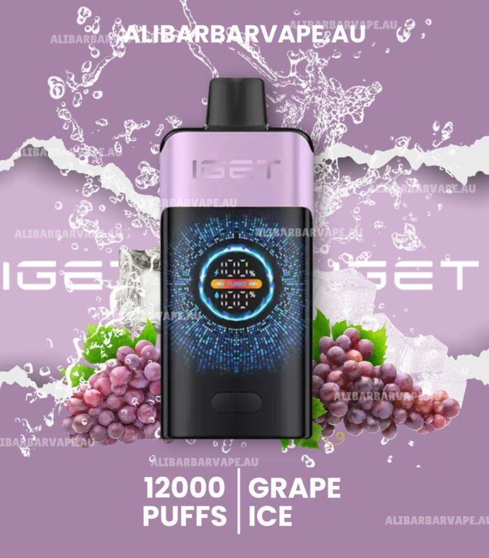 IGET One 12000 Puffs Grape Ice
