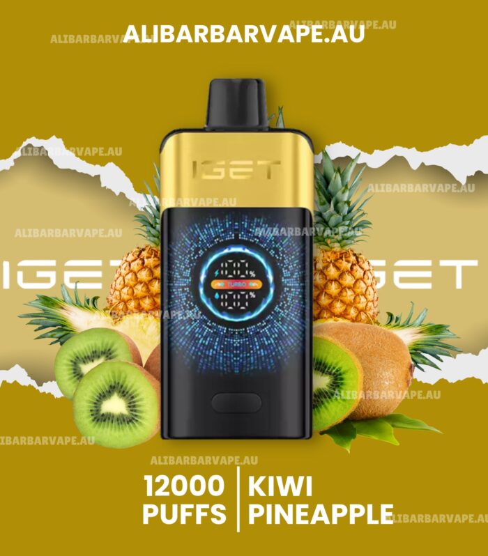 Iget One 12000 Puffs Kiwi Pineapple