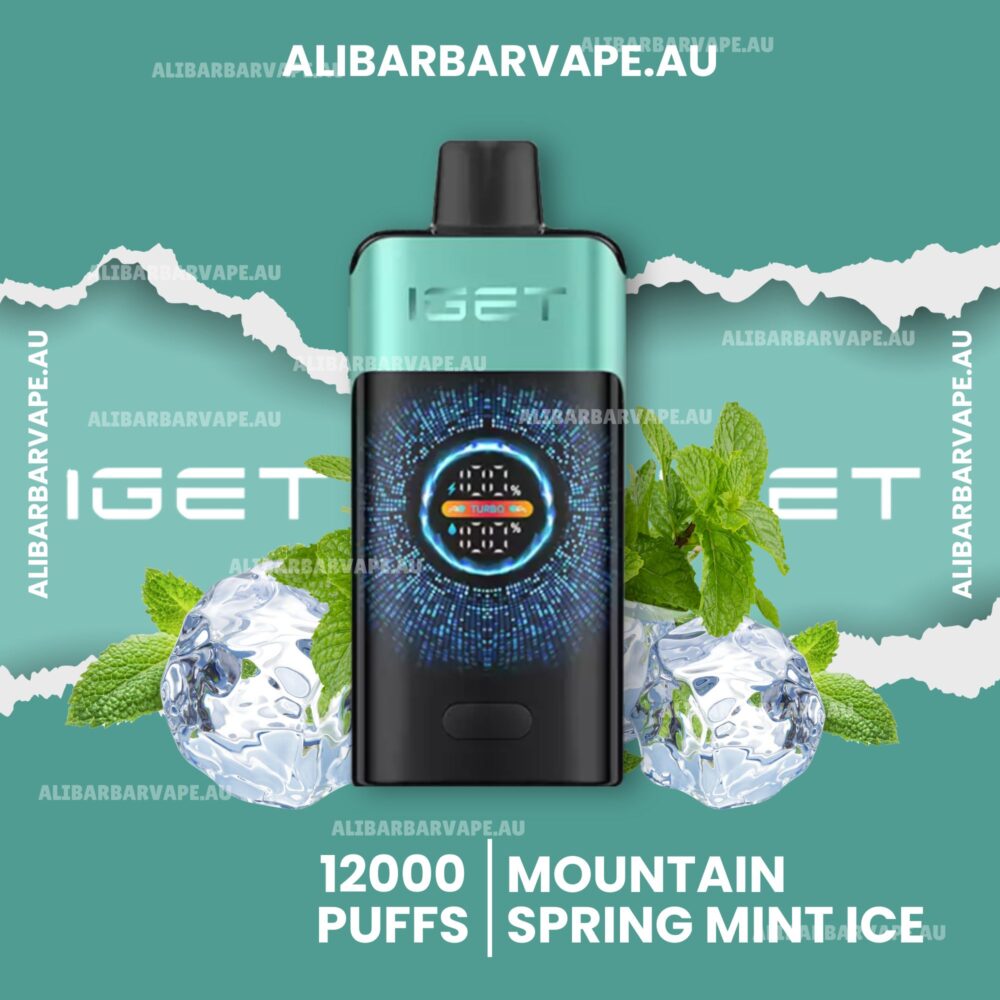 Iget One 12000 Puffs Mountainspring Mint Ice