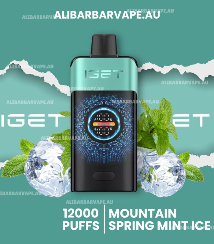 Iget One 12000 Puffs Mountainspring Mint Ice