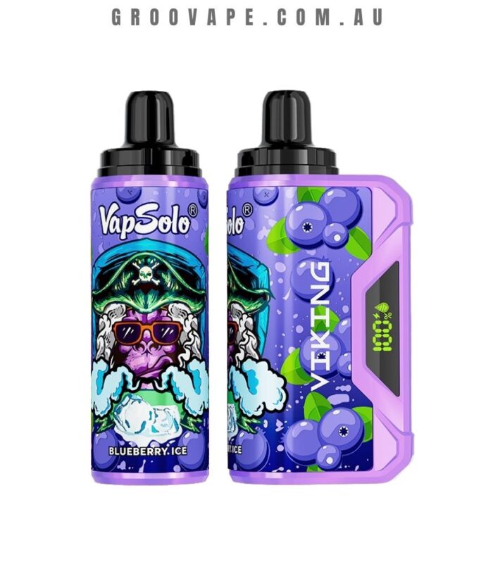 VapSolo 12000 Puffs Blueberry Ice